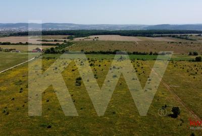 Teren Construcții intravilan de 5100 mp, în Cisnădie - 7
