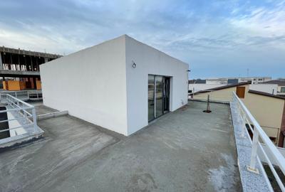Duplex cu 4 camere cu Canalizare în Palazu Mare - 29