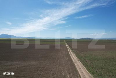 Spațiu comercial, în Prejmer - 5