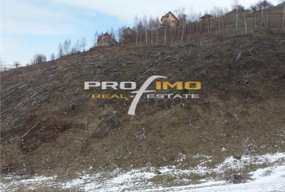 Teren de 3750 mp, în Moieciu - 1