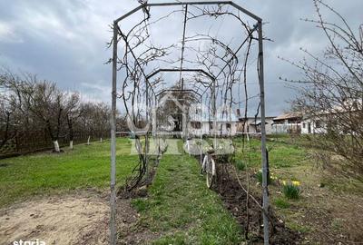 Casă cu 1 camere cu Teren 5000 Mp în Mogoșani - 4