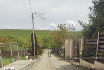 Teren de 1000 mp, în Ciurila