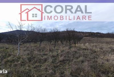 Teren de 3608 mp, în Decebal