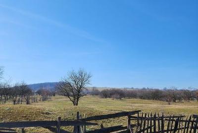 Teren de 4000 mp, în Pianu - 4