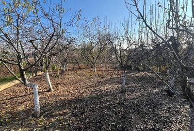 Casă cu 4 camere în Husasău de Criș - 2