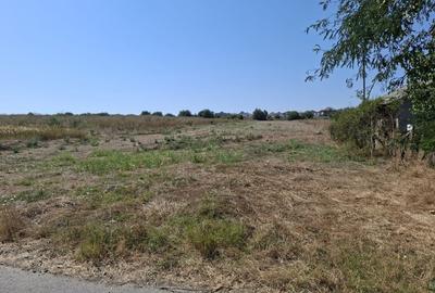 Teren Construcții intravilan de 891 mp, în Valu lui Traian - 1