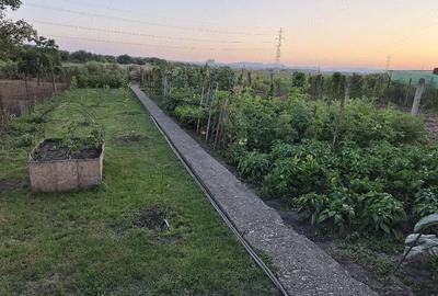 Casă cu 2 camere cu Teren 600 Mp în Central