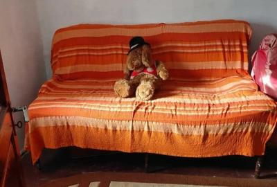 Casă cu 3 camere cu Teren 3000 Mp în Găvanele - 6