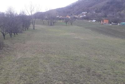 Spațiu comercial, în Vlădești - 6