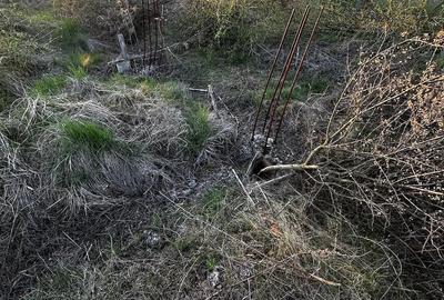 Teren de 607 mp, în Moșnița Veche
