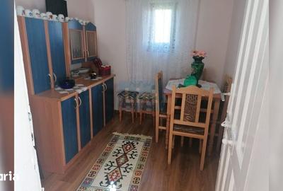 Casă cu 2 camere cu Teren 7000 Mp în Central - 4