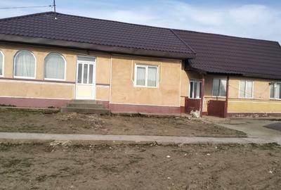 Casă cu 4 camere în Borcea