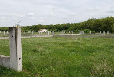 Teren de 543 mp, în Gepiu - 12