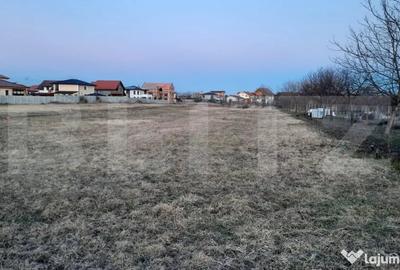 Teren în Torontalului
