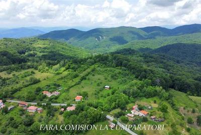 Teren Construcții intravilan de 19822 mp, în Runcu - 4