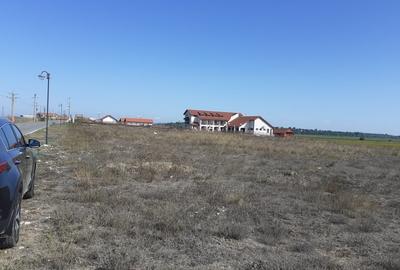 Teren Construcții intravilan de 2000 mp, în Murighiol - 1