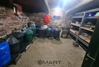 Casă cu 3 camere cu Teren 255 Mp în Cristian