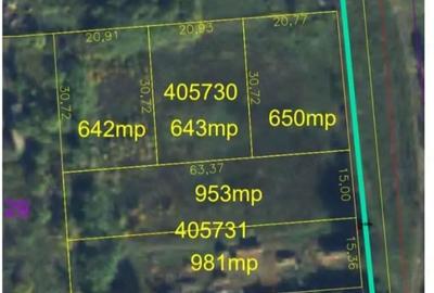 Teren de 640 mp, în Tormac