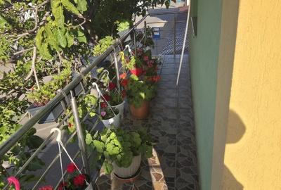 Casă individuală cu 5 camere cu Canalizare în Schela Cladovei - 15