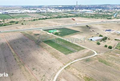 Teren de 20742 mp, în Sântandrei - 2