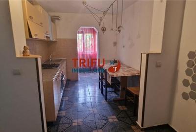 Apartament cu 2 camere în Cetate - 8