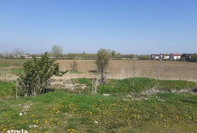 Teren de 28450 mp, în 1 Decembrie - 4