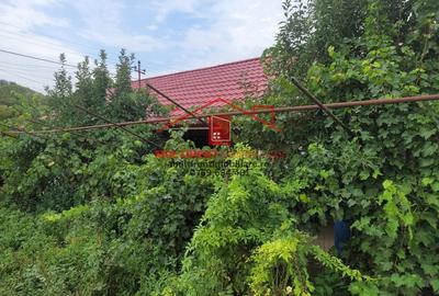 Casă individuală cu 3 camere cu Teren 2663 Mp în Telița - 1