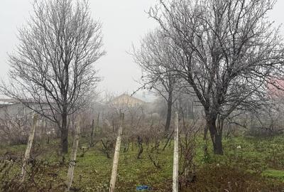Casă individuală cu 3 camere cu Teren 1400 Mp în Săhăteni - 1