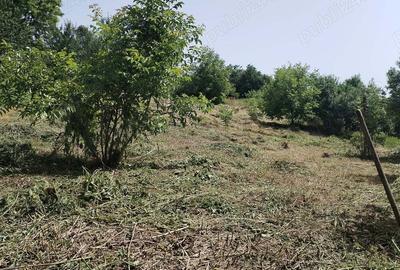 Teren de 2200 mp, în Aiton - 2