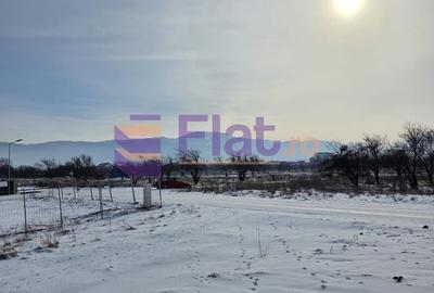 Casă cu 4 camere cu Teren 700 Mp în Central - 3