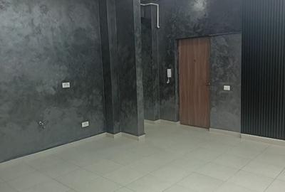 Spațiu comercial, de 42 mp, în Dudu