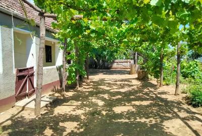 Casă cu 2 camere în Voivozi (Șimian) - 8