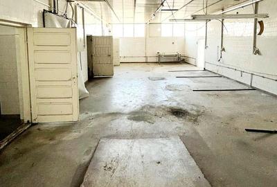 Spațiu comercial, de 50 mp, în Bucium