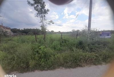 Teren de 3665 mp, în Crângurile - 4