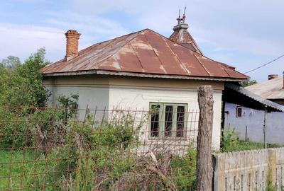 Casă cu 3 camere în Goiești
