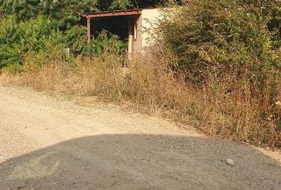 Teren de 2674 mp, în Băile Felix