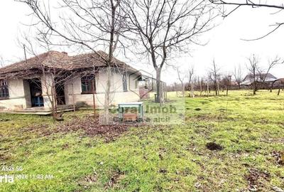Casă cu 2 camere cu Teren 2016 Mp în Traian - 1