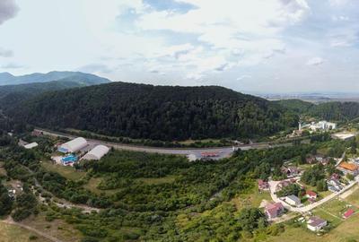 Teren intravilan de 20000 mp, în Central