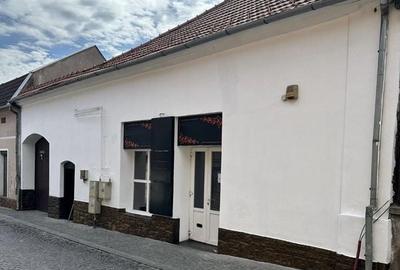 Spațiu comercial, de 176 mp, în Central - 1