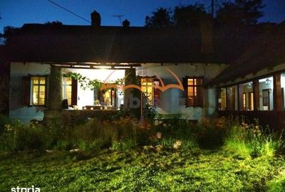 Casă cu 7 camere cu Teren 9948 Mp în Arefu - 4