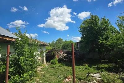 Casă în Băneasa - 5