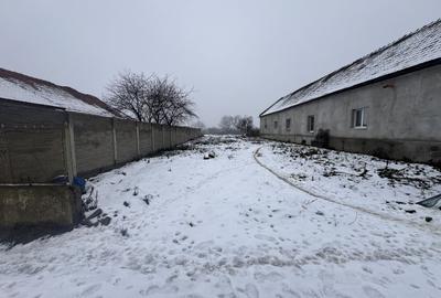 Teren Construcții intravilan de 1740 mp, în Dudeștii Noi - 4