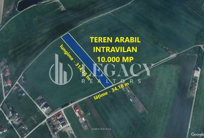Teren agricol intravilan de 10000 mp, în Gârcina - 2