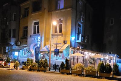 Casă individuală cu 8 camere cu Canalizare în Grădina Icoanei