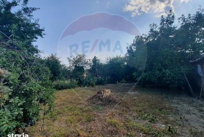 Casă cu 3 camere cu Teren 768 Mp în Garoafa - 3