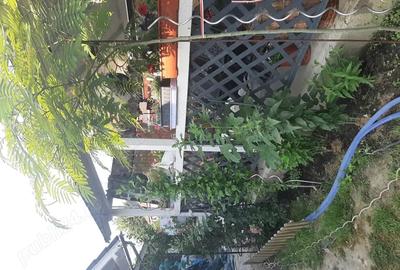 Casă cu 5 camere în Sânnicolau Mare - 4