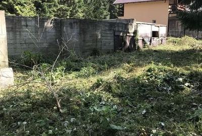 Teren de 3600 mp, în Sucevița - 5