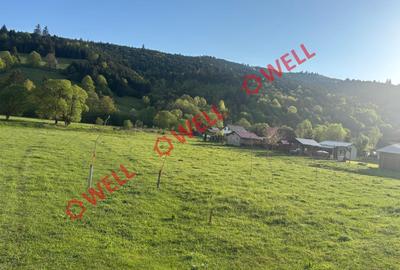 Teren intravilan de 3600 mp, în Poian - 6