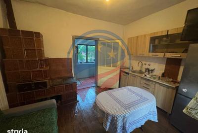 Casă cu 7 camere cu Teren 3300 Mp în Orodel - 15