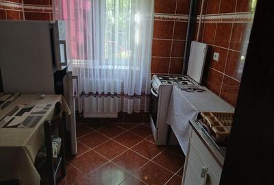 Apartament cu 2 camere semidecomandat în Craiovei - 6